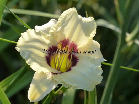 PANDORA'S BOX PANDORA'S BOX