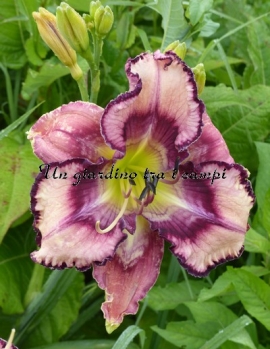 PATTERNED FOR SUCCESS