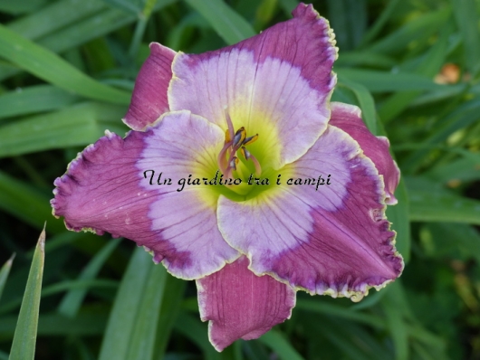 PAUL AUCOIN PAUL AUCOIN