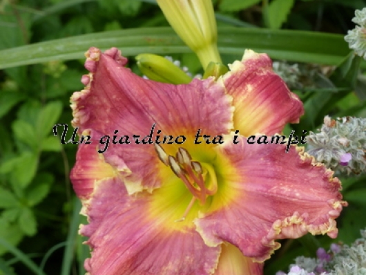 RED FRIDAY RED FRIDAY