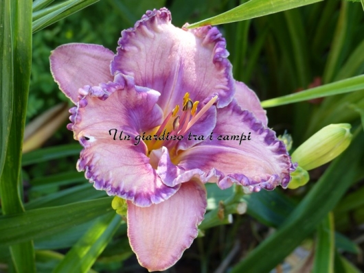 REFLECTIONS IN WATER REFLECTIONS IN WATER