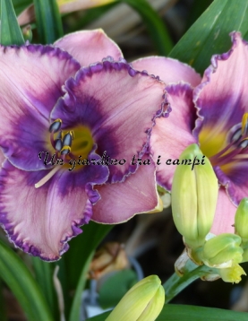 REFLECTIONS IN WATER