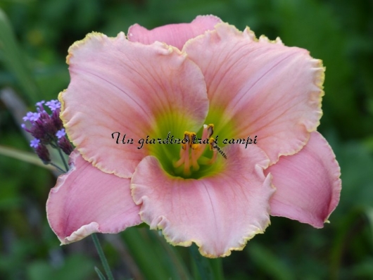 SANGRE DE CRISTO SANGRE DE CRISTO