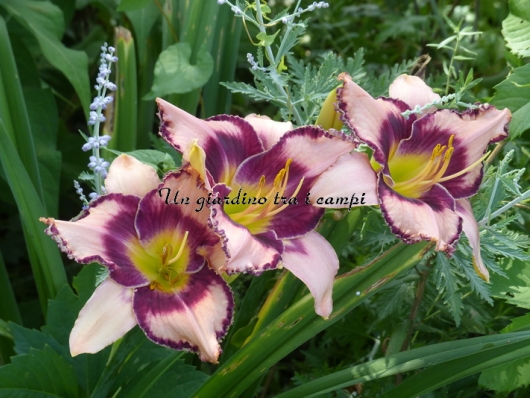 THANKS PAVEL THANKS PAVEL