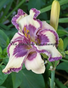 THE FANTASTIC BARBARA WATTS