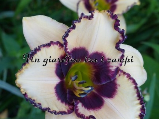 UNENDING MELODY UNENDING MELODY