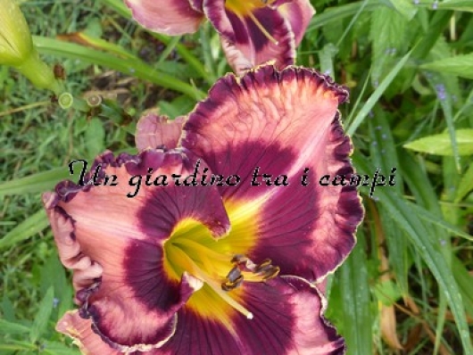 WRENETTA POWELL WRENETTA POWELL