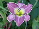 ZEPHYR JOHN ZEPHYR JOHN