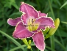 ZEPHYR JOHN ZEPHYR JOHN