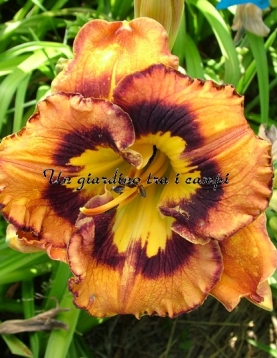 SDLG 13inp-A SDLG 13inp-A