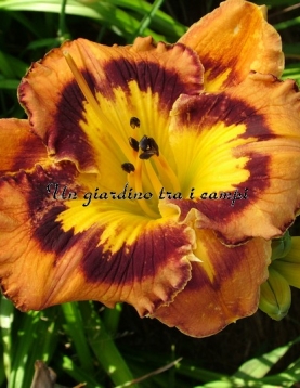 SDLG 13inp-A SDLG 13inp-A