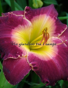 SDLG 13ince-E SDLG 13ince-E